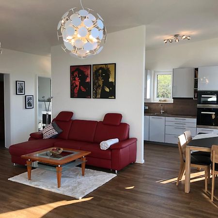 A&N Prestige Apartments "Attika" Close To Basel And Rhine River Grenzach-Wyhlen Dış mekan fotoğraf