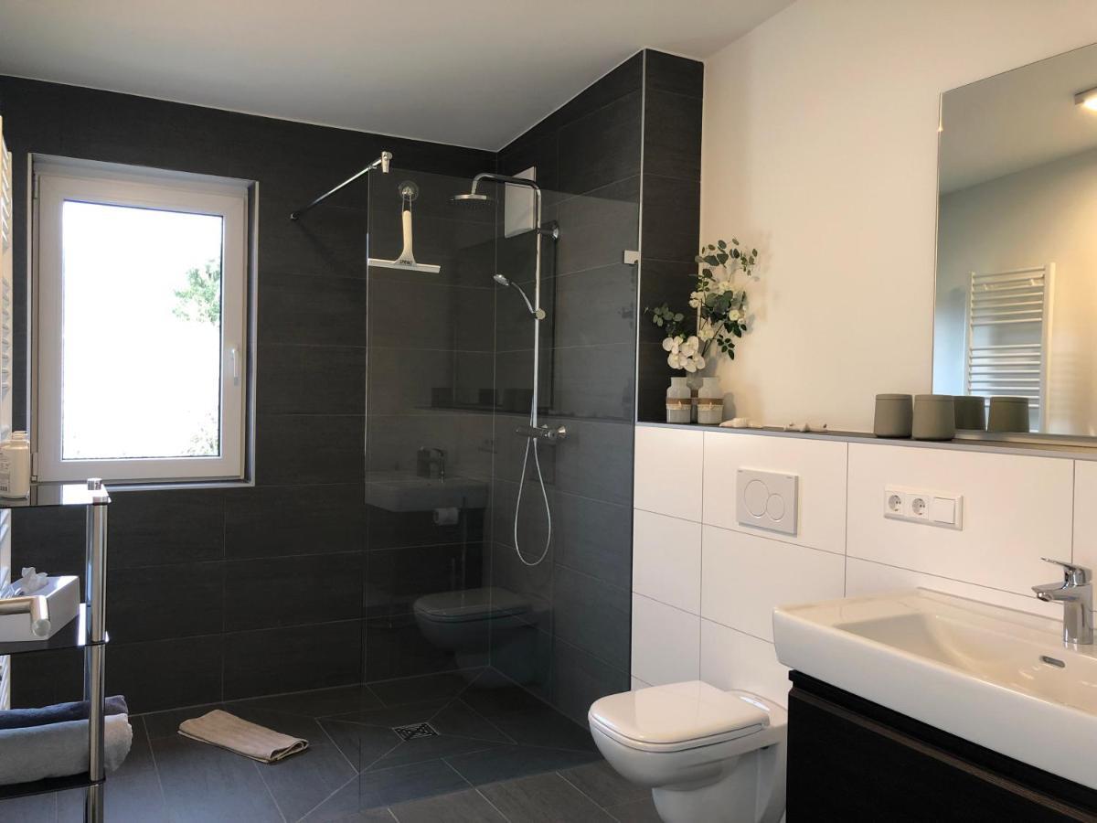 A&N Prestige Apartments "Attika" Close To Basel And Rhine River Grenzach-Wyhlen Dış mekan fotoğraf